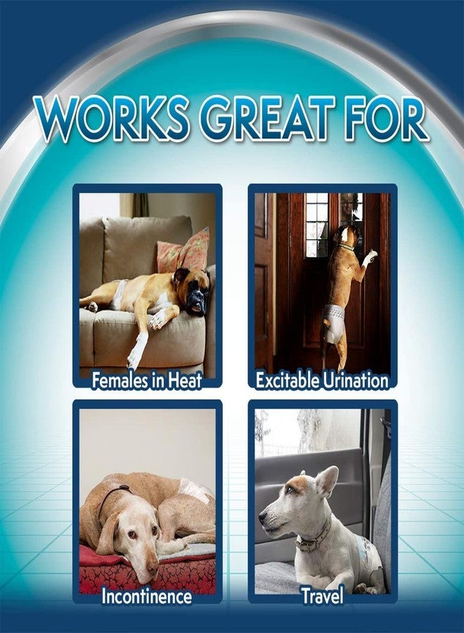 Simple Solution True Fit Disposable Dog Diapers for Female Dogs, Quickly Absorb Liquid for Long Lasting Dryness, Small 30-48cm Waist (12 Pack) - Image 5